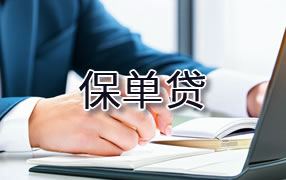 昌吉保单贷